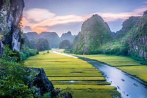 4 khu đất đấu giá tại Ninh Bình năm 2026: Cơ hội nào cho nhà đầu tư? - Datviethome.com