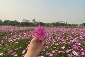 Biến đất hoang thành điểm check-in hút khách: Hướng đi mới cho du lịch nông thôn Gia Viễn - Datviethome.com