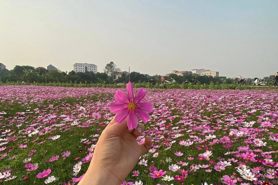 Biến đất hoang thành điểm check-in hút khách: Hướng đi mới cho du lịch nông thôn Gia Viễn - Datviethome.com