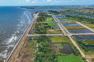 Ninh Bình đẩy mạnh du lịch biển: Thị trường mới nổi cho các nhà đầu tư đón sóng hạ tầng - Datviethome.com